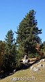 wbgarden alps 117
